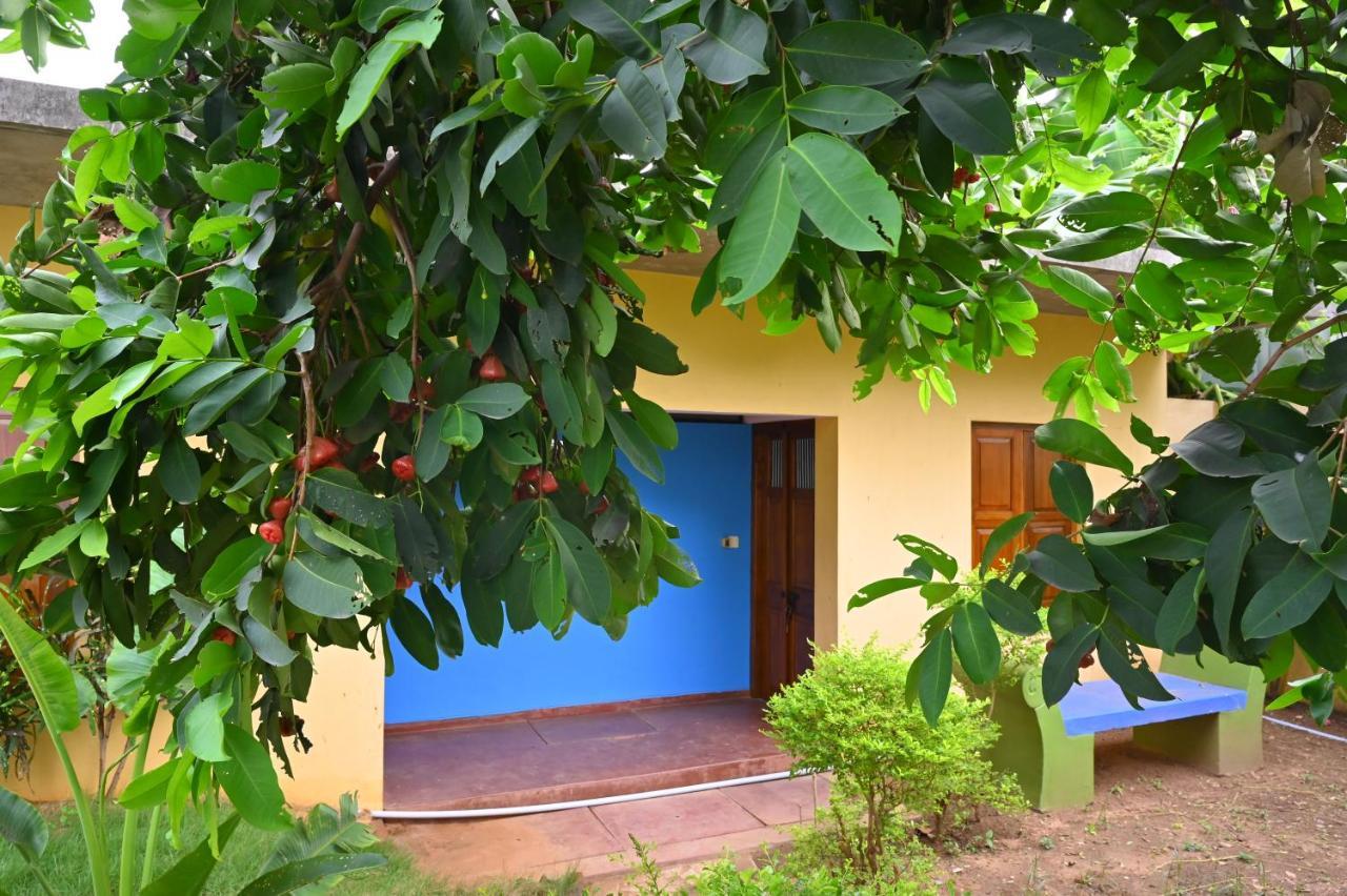 Les Boganveillea Heritage Guest House Auroville Esterno foto